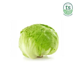 Iceburg Lettuce