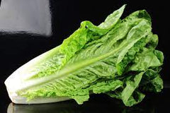 Romaine Lettuce