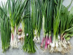 Spring Onions