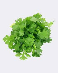 Coriander